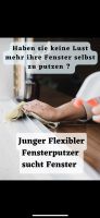 Fensterputzer sucht Fenster! Münster (Westfalen) - Centrum Vorschau