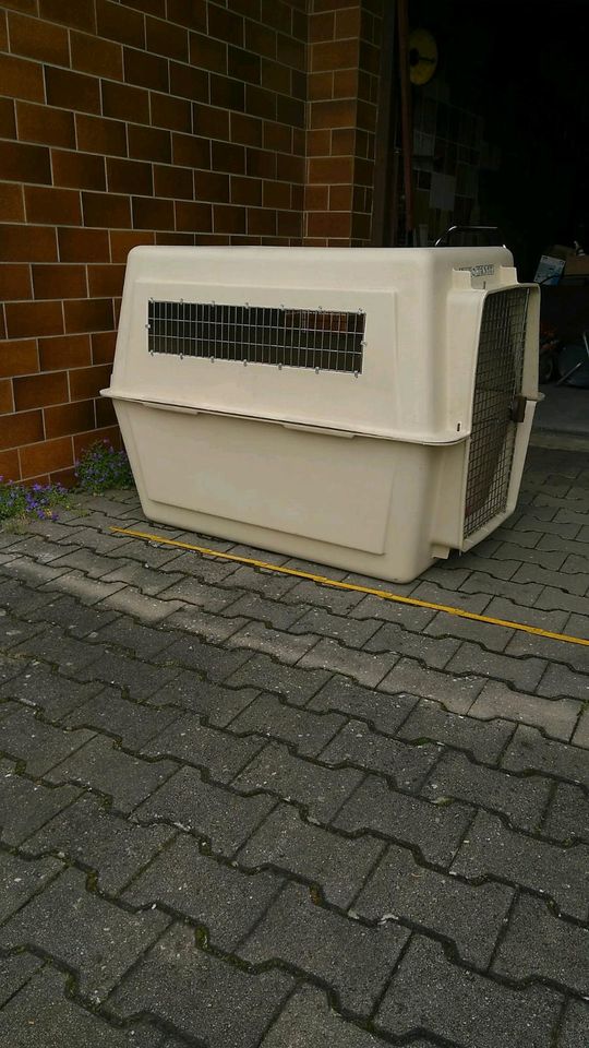 Grosse Hundebox,Transportbox XXL Top Zustand in Weil a. Lech