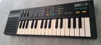 Casio SK-1 32-Key Sampling Keyboard 80's TOP Nordrhein-Westfalen - Recklinghausen Vorschau