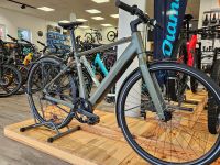 Riese & Müller UBN Five Singlespeed Fazua E-Bike City Sachsen - Oschatz Vorschau