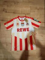 1. FC Köln Karnevalstrikot 23/24 - Größe M - Hummel neu Niedersachsen - Wolfenbüttel Vorschau