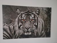 Wandbild  Tiger Essen-West - Frohnhausen Vorschau