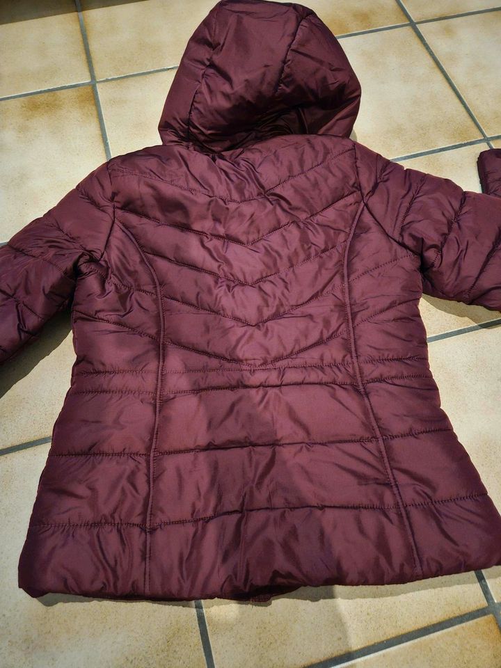 Leichte Winterjacke von Hollister in Hemer