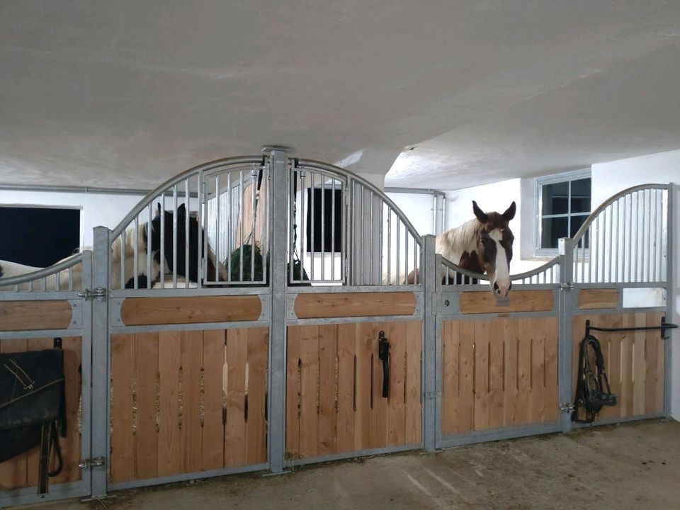Pferdebox, Stall frei! in Obergröningen