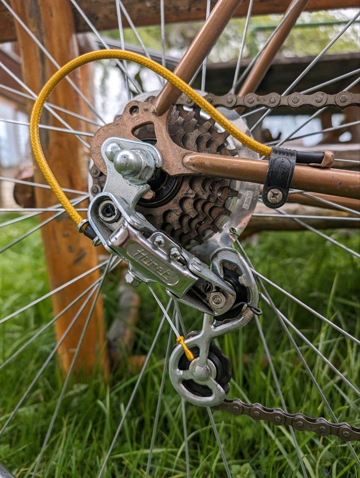 Bianchi Rennrad Cyclocross Gravel Oldtimer eroica in Teisendorf