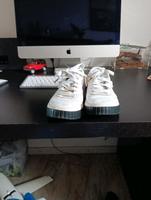Puma Schuhe gebraucht   39 Köln - Rodenkirchen Vorschau