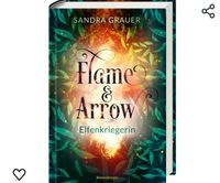 Suche Flame & Arrow Elfenkriegerin Sandra Grauer Niedersachsen - Friesoythe Vorschau