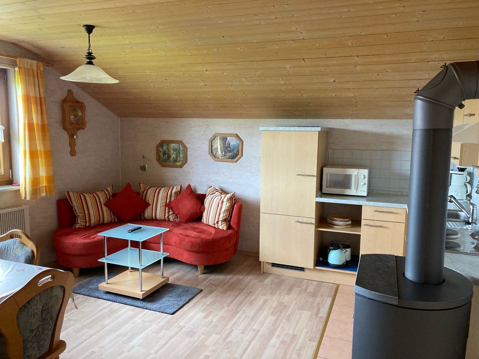 Berghütte/Ferienhaus/Ferienwohnung-Bayerischer-Wald in Gotteszell