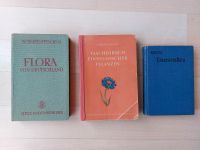 3 alte Pflanzenbestimmungsbücher von 1908, 1914 und 1950 Hannover - Bothfeld-Vahrenheide Vorschau