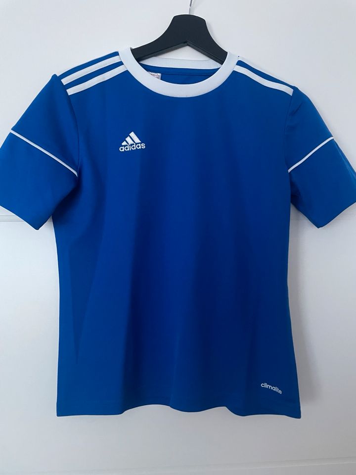 Vintage Adidas Sport tshirt in Radeberg