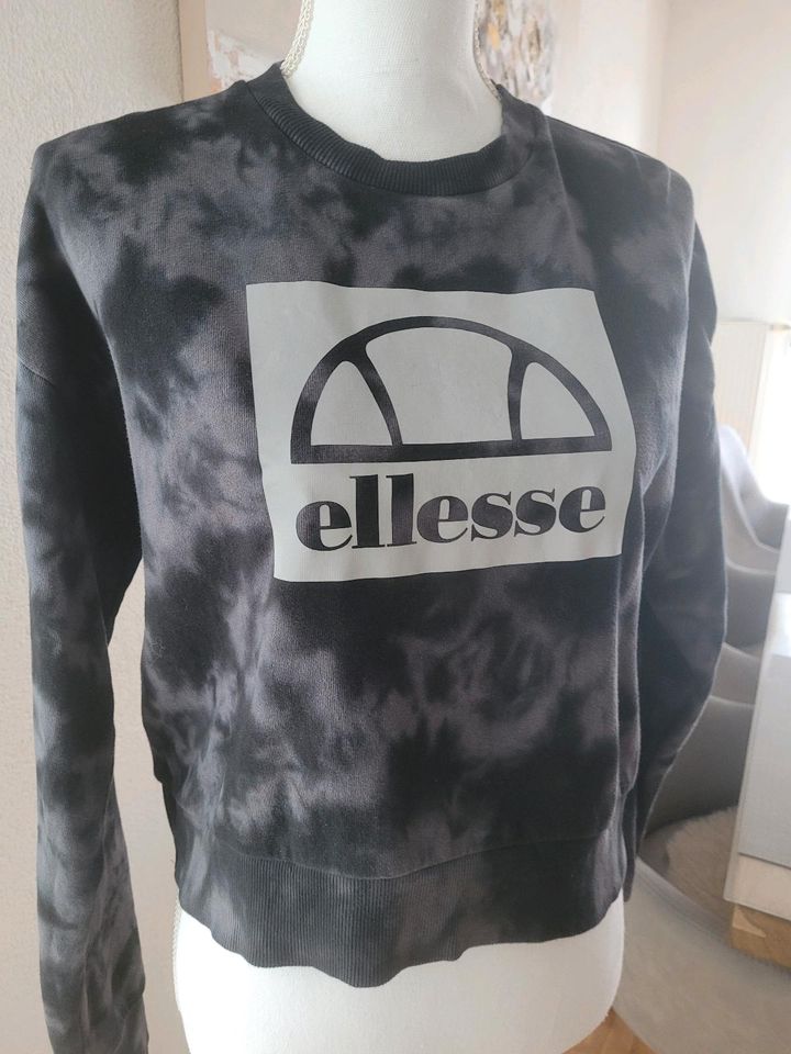 Pullover von Ellesse Gr.152-158 neuwertig in Laupheim