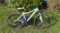 Mountainbike Ghost Miss 5500 mit Shimano XT Ausstattung Bochum - Bochum-Süd Vorschau