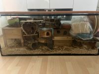 Terrarium zu verkaufen Hannover - Herrenhausen-Stöcken Vorschau