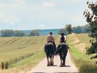 Wanderreiten im Hainich Thüringen - Langula Vorschau