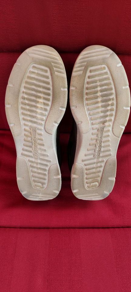 NEUw Ecco Sneaker Irondale Biom 41 Leder Schuhe Halbschuhe in Ahaus