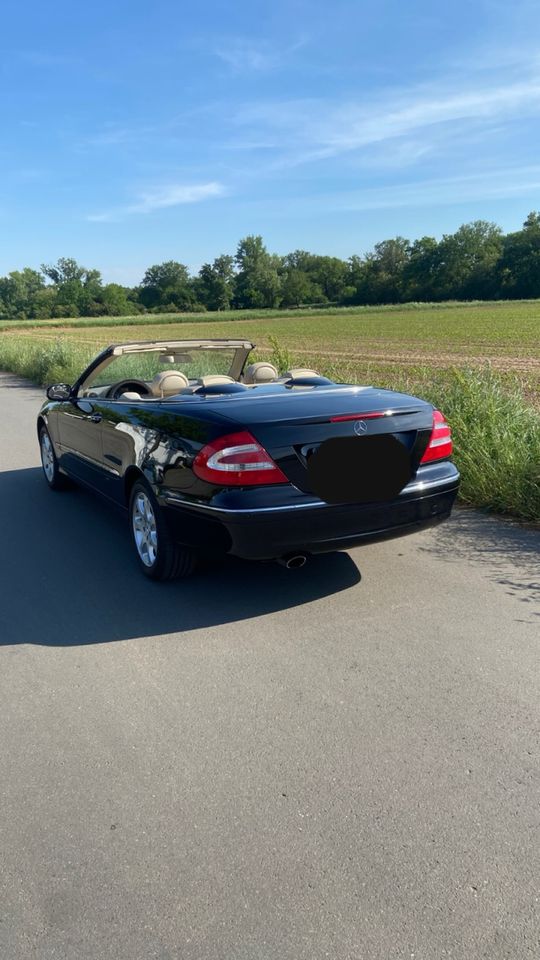 Mercedes-Benz CLK 200 Kompressor ELEGANCE in Bischofsheim