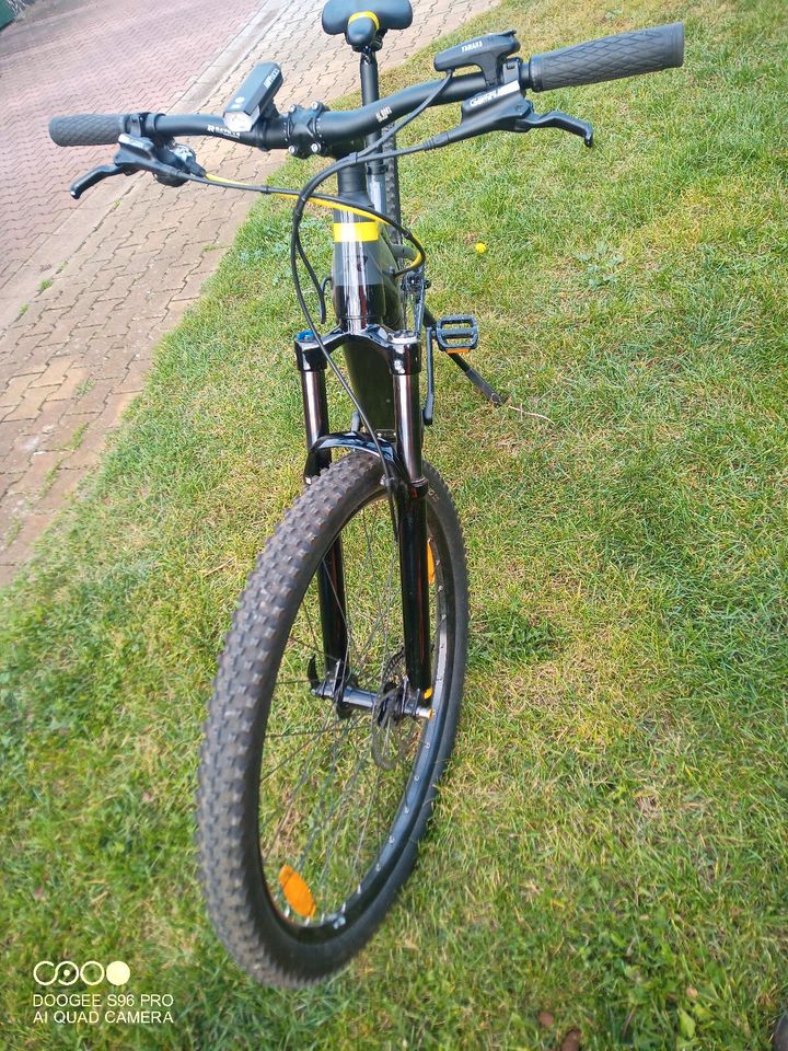 E Bike Raymon Hardray E NINE 7.0 in Finsterwalde