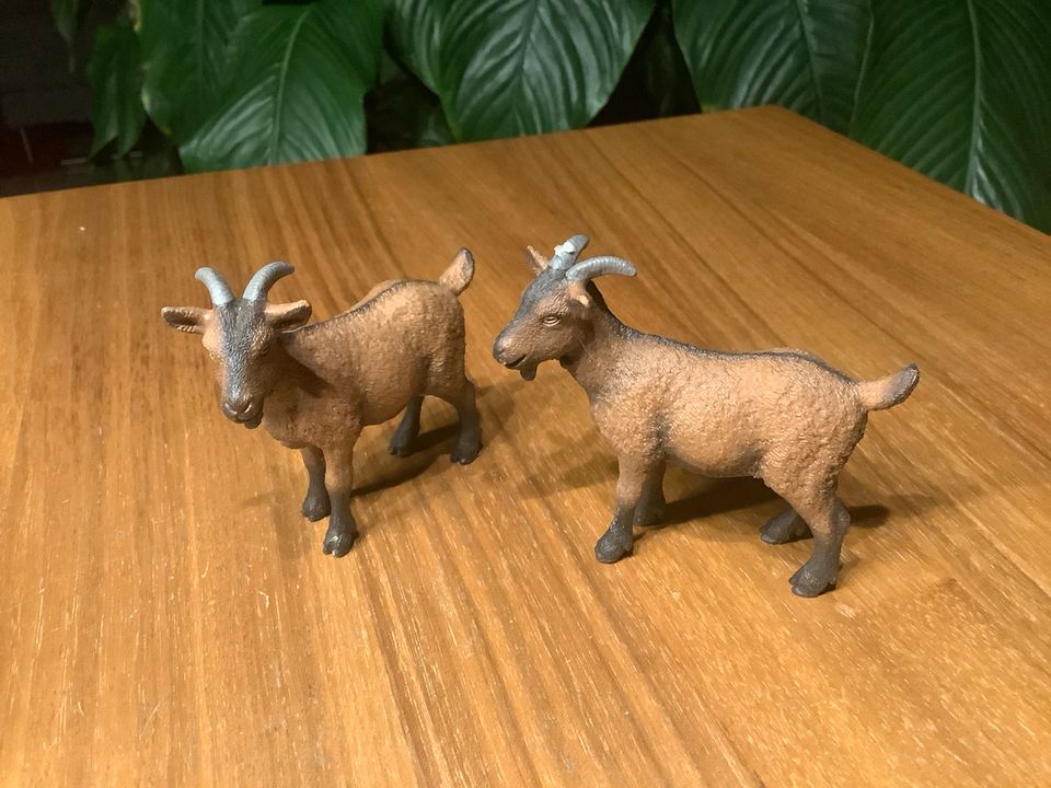 Schleich Ziegen in Frankfurt am Main