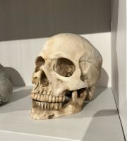 Dekoschädel, Totenkopf, Skull, Gothic Bayern - Schrobenhausen Vorschau