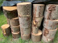 Brennholz zu verkaufen ! Niedersachsen - Soltau Vorschau