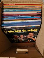 Alte Schallplatten ca 50 Stück Volksmusik, Klassik, Schlager Hessen - Rotenburg Vorschau