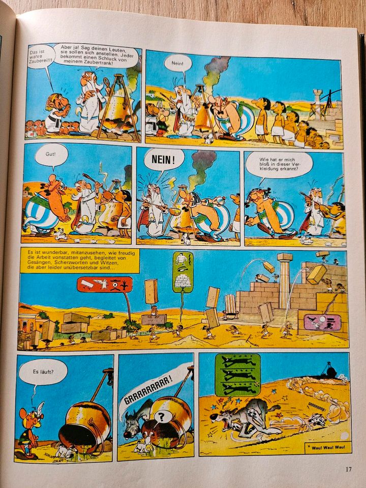 Die Abenteuer des Asterix, Horizont Verlag, Band 1-8 in Dresden
