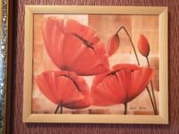 3 Stück * Wandbild Mohn Blumen Rot 54x44 Kunstdruck Bilderrahmen Rheinland-Pfalz - Hamm (Sieg) Vorschau