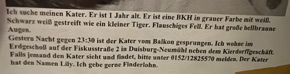 Bkh Kater vermisst in Duisburg