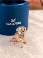 ❤️ Swarovski Golden Retriever Welpe 1142825 Hund Hundebaby Berlin - Spandau Vorschau