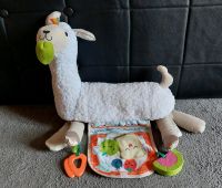 Bauchlage Kuscheltier von Fisher Price Brandenburg - Oranienburg Vorschau