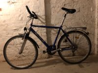 Fahrrad 28 Zoll 21 Gang Ergo Lenker Sachsen-Anhalt - Magdeburg Vorschau