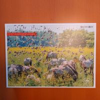 1000 Teile Puzzle, Pferde und Vögel. Nordrhein-Westfalen - Kerken Vorschau