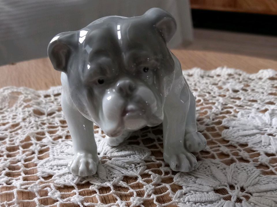 Gebruder Heubach englische Bulldogge Porzellan in Winsen (Luhe)