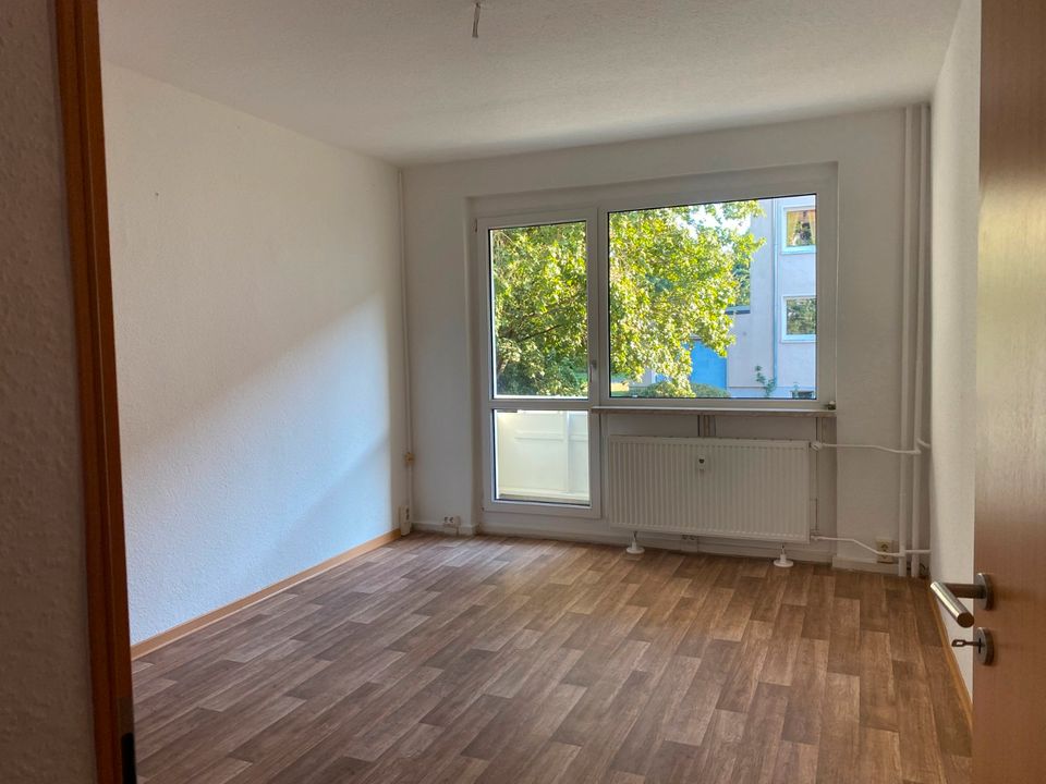 Helle 3 Zimmer Wohnung mit Balkon, Hochparterre (810.1901) in Oranienbaum-Wörlitz