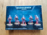 Warhammer 40k Eldar Phantomwachen Klingen Wraithguard Blades NEU Bayern - Lappersdorf Vorschau