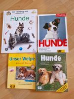 4 Hundebücher Sachbücher Hund Saarland - Illingen Vorschau