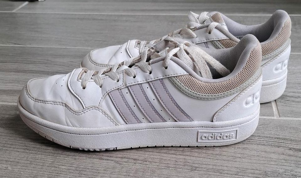 Adidas Sneaker Turnschuh Gr. 38,5 in Echzell 