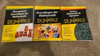 3x Mathematik für dummies Dresden - Tolkewitz Vorschau