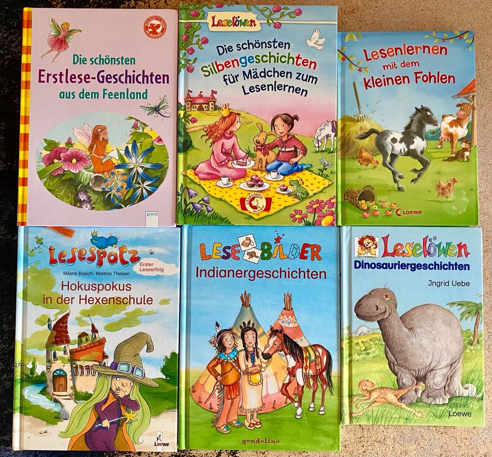 Leselernbücher 1. Klasse Leselöwe Lesespatz Lesebilder Silben in Dresden
