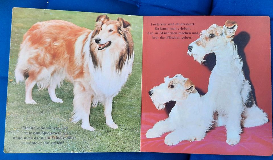 Kinderbuch SPIELKAMERADEN ❤️ Hund  Katzen Reime Bilderbuch in Kiel