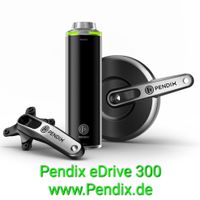 Pendix eDrive ❗️ EINBAU ❗️ Service für eDrive 300 eDrive 500 Niedersachsen - Hatten Vorschau