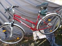 Fahrrad für Damen Bilder ansehen Hessen - Kelsterbach Vorschau