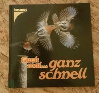 Kinderbuch "Guck mal, wie schnell" - Wissensbuch von Kosmos Bayern - Bad Steben Vorschau