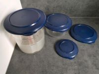 TUPPERWARE Pikantus Gurkenlift aqua/transparent + Dose + 2 Deckel Hessen - Mittenaar Vorschau