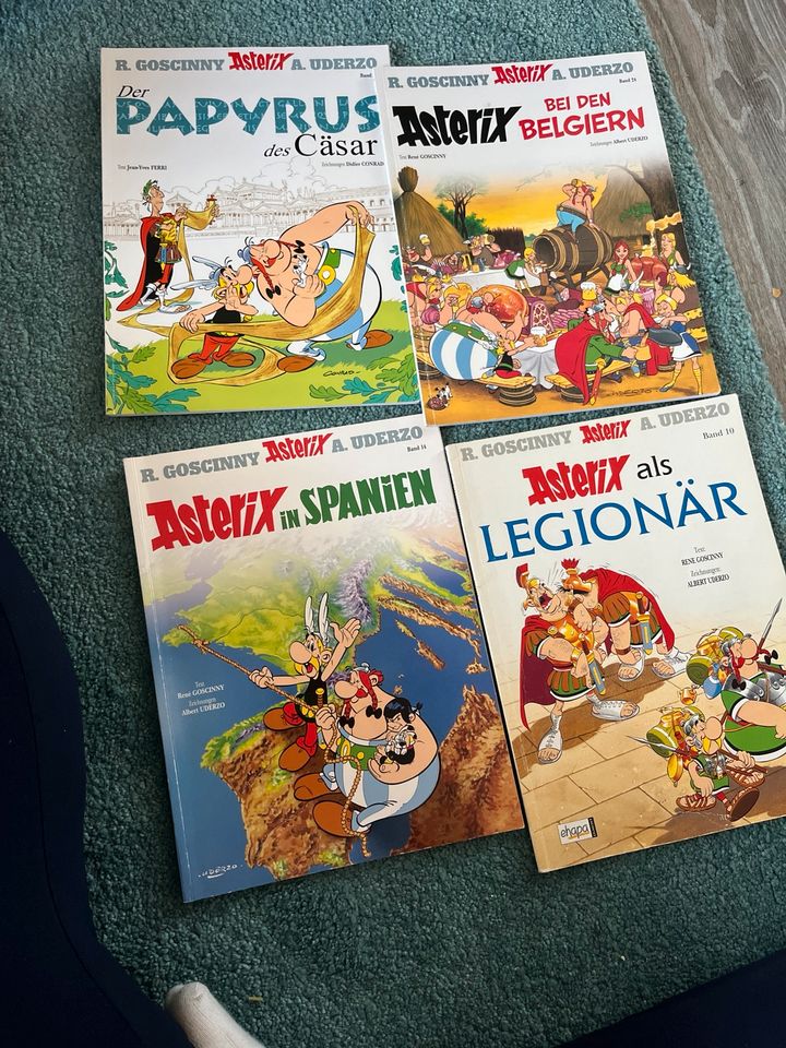 Asterix Comics in Rodenbach