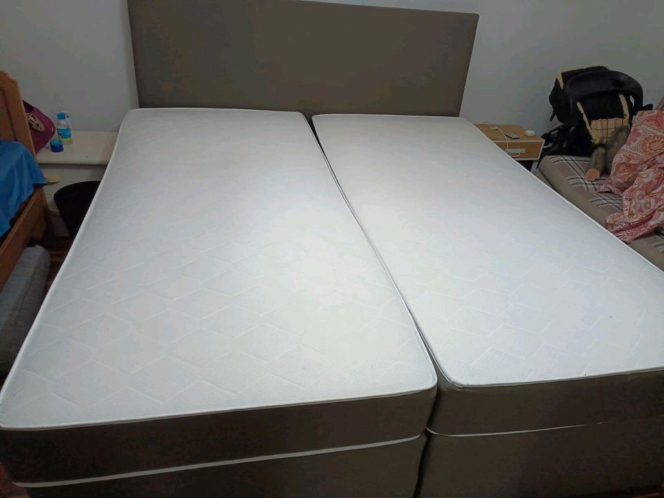 Box spring bed 180cm×200cm in Planegg