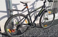 Mountainbike Fahrrad Herrenfahrrad 29 Zoll Bulls King Cobra Nordrhein-Westfalen - Menden Vorschau