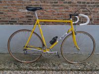 Eddy Merckx pro team Europdecor 1984 ! Nordrhein-Westfalen - Bocholt Vorschau