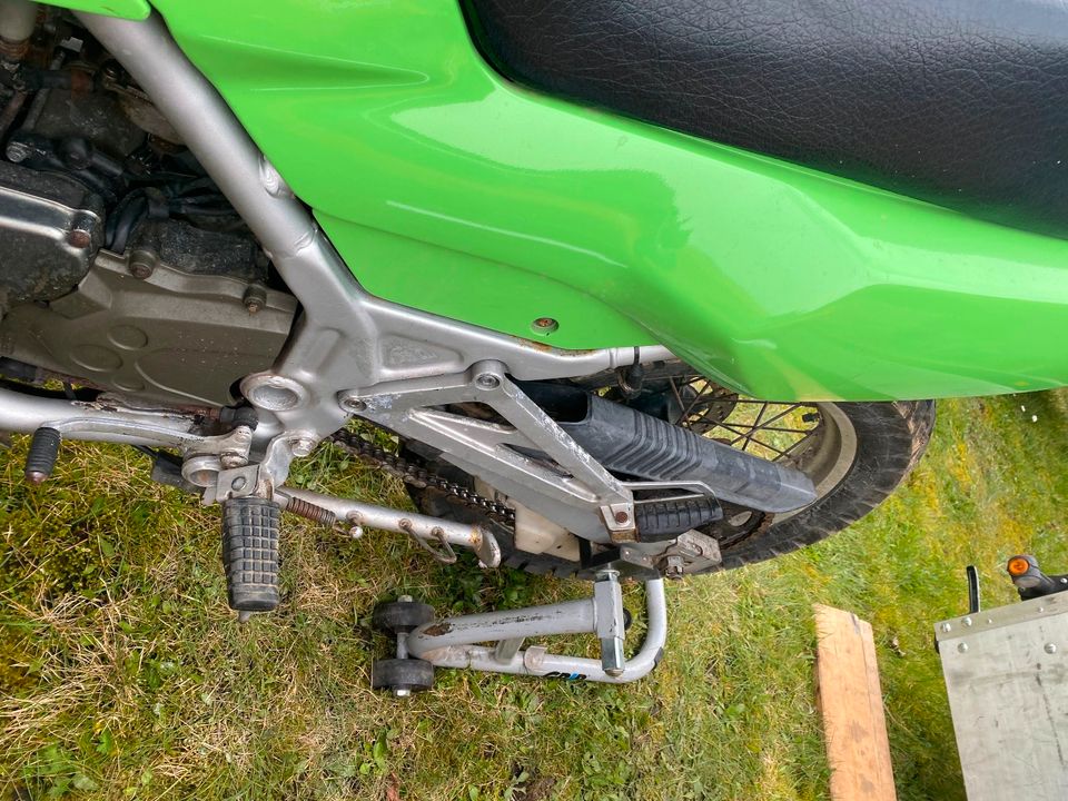 Kawasaki KLE 500 LE500A Scheunenfund in Apensen