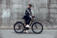 E Bike | Revolution 100% recycelter Rahmen | BOSCH CX | 750wh Rheinland-Pfalz - Anhausen Vorschau